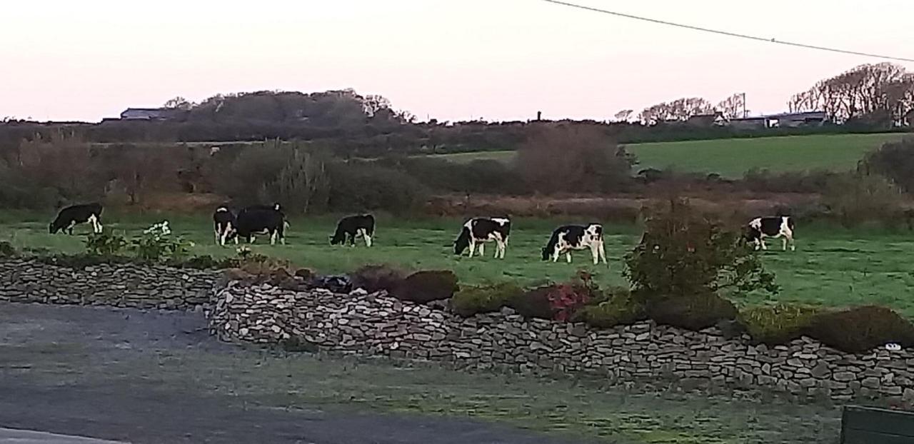 Murphys Irish Farmhouse Tralee Exterior photo